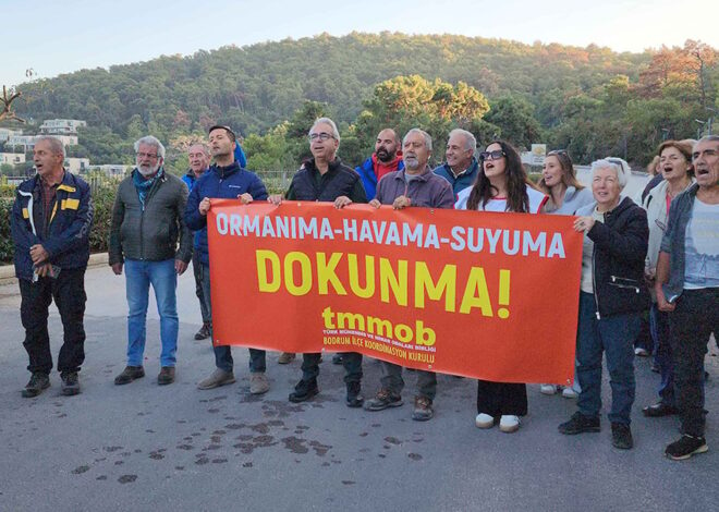 77 dönümlük ormanlık arazinin betona tahsisine sert tepki